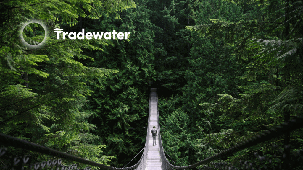 Blog - Tradewater